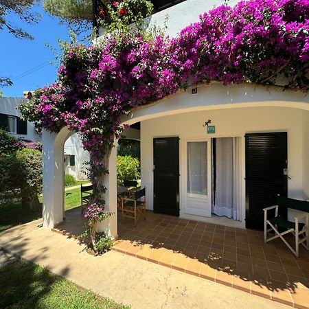 Apartment With Garden And Swimming And Beach Cala Blanca  Eksteriør billede