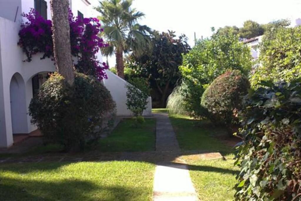 Apartment With Garden And Swimming And Beach Cala Blanca  Eksteriør billede