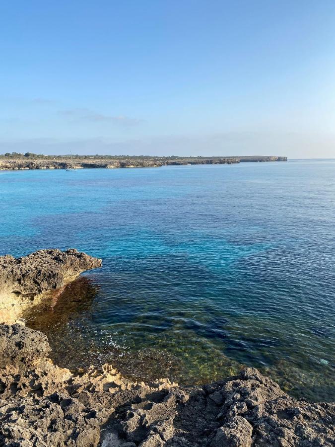 Apartment With Garden And Swimming And Beach Cala Blanca  Eksteriør billede