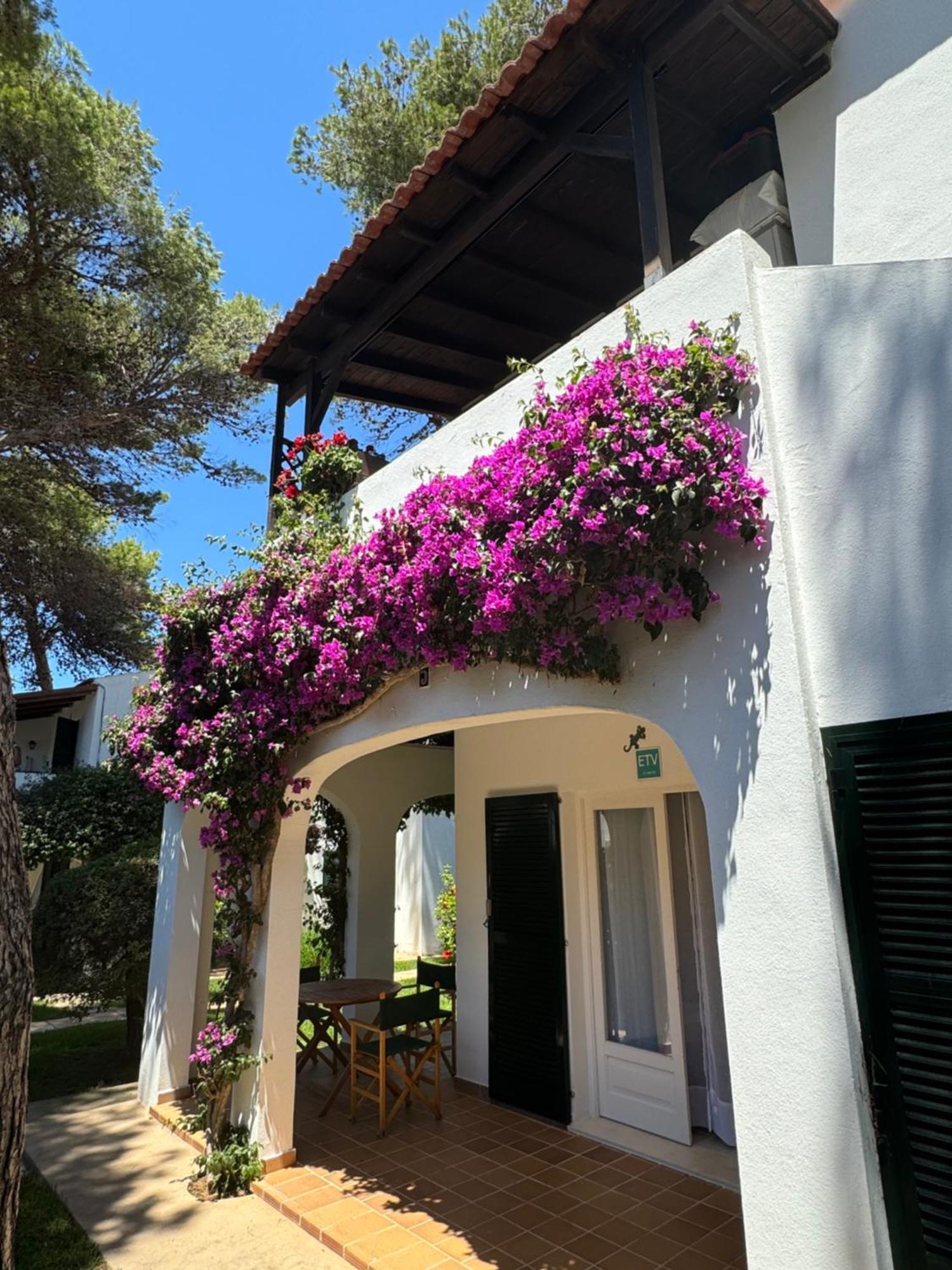 Apartment With Garden And Swimming And Beach Cala Blanca  Eksteriør billede